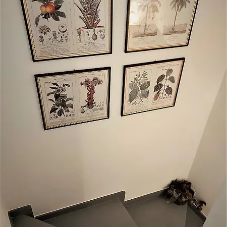 Castle Apartamento