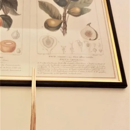 Castle דירה פראטו